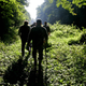 Researchers in the Great Dismal Swamp in 2007.